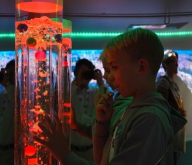 Sensory Ball Bubble Tube | Creative Activity