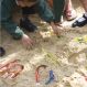 Squidgy Sparkle Letters and Numbers | Creative Activity