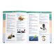 Oxford First Dictionary Single | Creative Activity