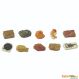 Small World Dinosaur & More Fossil Replicas 10pcs  | Education Resources | Creative Activity