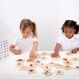 Domestic Animal Family Match | Multi Sensory Environments | Creative Activity
