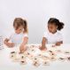 Domestic Animal Family Match | Multi Sensory Environments | Creative Activity