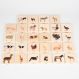 Domestic Animal Family Match | Multi Sensory Environments | Creative Activity