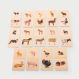 Domestic Animal Family Match | Multi Sensory Environments | Creative Activity