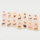 Domestic Animal Family Match | Multi Sensory Environments | Creative Activity