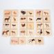 Domestic Animal Family Match | Multi Sensory Environments | Creative Activity