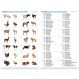 Domestic Animal Family Match | Multi Sensory Environments | Creative Activity