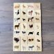 Domestic Animal Family Match | Multi Sensory Environments | Creative Activity