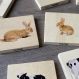 Domestic Animal Family Match | Multi Sensory Environments | Creative Activity