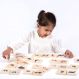 Domestic Animal Family Match | Multi Sensory Environments | Creative Activity