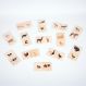 Domestic Animal Family Match | Multi Sensory Environments | Creative Activity