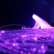 Causeway Sensory Super Safe Plastic Fibre Optics 2m x 100 Strands