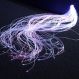 Causeway Sensory Super Safe Plastic Fibre Optics 2m x 100 Strands