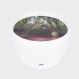 Sensory Mood Discovery Table + Forest Discovery Playmat | Multi-Sensory Environments | Creative Activity
