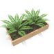 1.8m Low Timber Bed | Outdoor Play | Creative Activity
