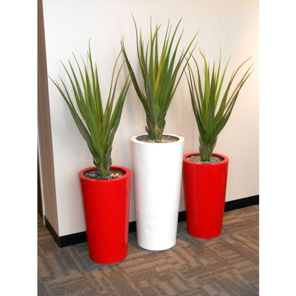 Floor Standing Display Plants - Pandanus Plant | Creative Activity