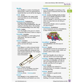 Collins Primary Dictionary Single