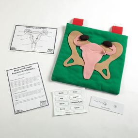 Reproductive Organ Display Vests Female