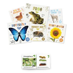 Life Cycles Book Pack