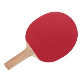 Starter Table Tennis Bat Pimples Out