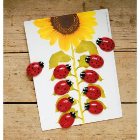 Ladybugs Counting Activity Cards 16pk