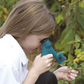 Handheld Microscope 10pk