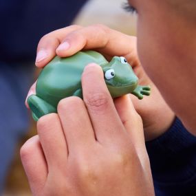 Terrific Talking Frogs