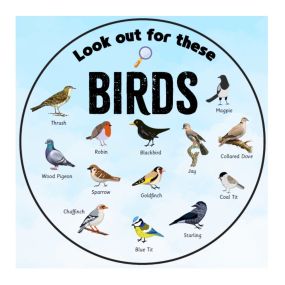 EduWall - Look out for these birds Circle