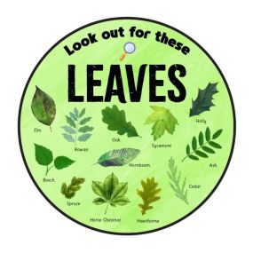 EduWall - Look out for these Leaves Circle 