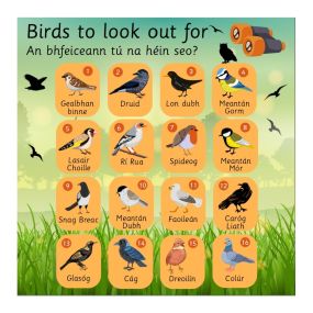 EduWall - Bird Board Irish