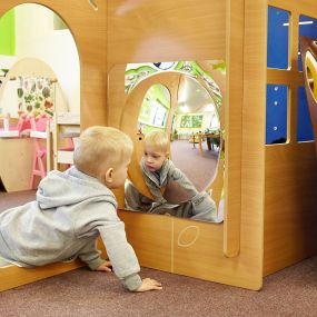 Large Single Domed Acrylic Mirror Panel