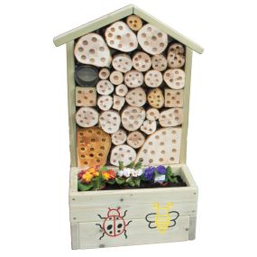 Bugs Life & Planter | Creative Activity