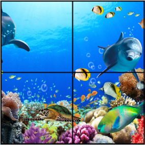 LED Ceiling Panels Fish - Non-interactive | Creative Activity