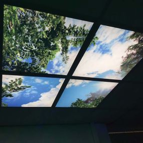 LED Ceiling Panels Trees - Non-interactive
