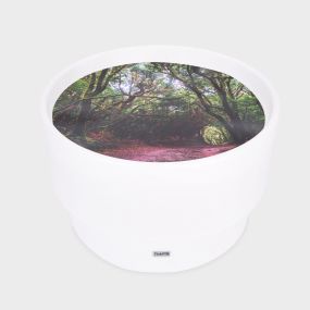 Sensory Mood Discovery Table + Forest Discovery Playmat