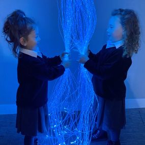 Fibre Optic Curtain 1m 100 Tails