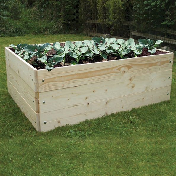 Raised Wooden Grow Bed | Creative Activity