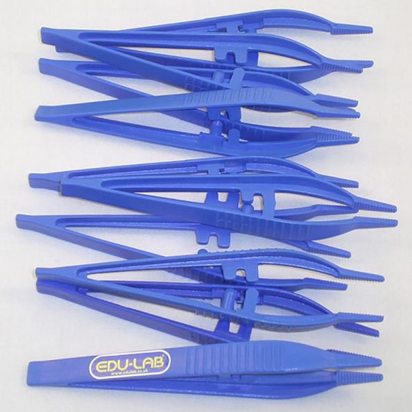 Plastic Tweezers | Creative Activity