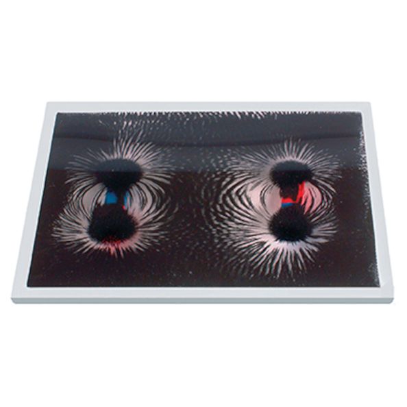 Magnetic Field Pattern Window | Creative Activity