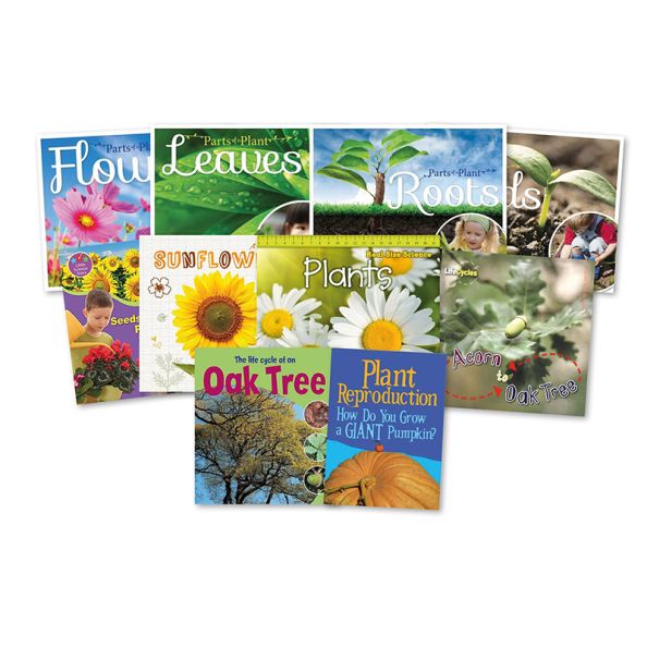 KS1 Plant Life Cycle Books 10pk | Creative Activity
