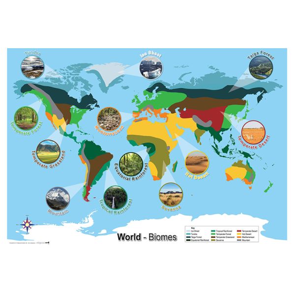 Biomes World Map A1 | Creative Activity