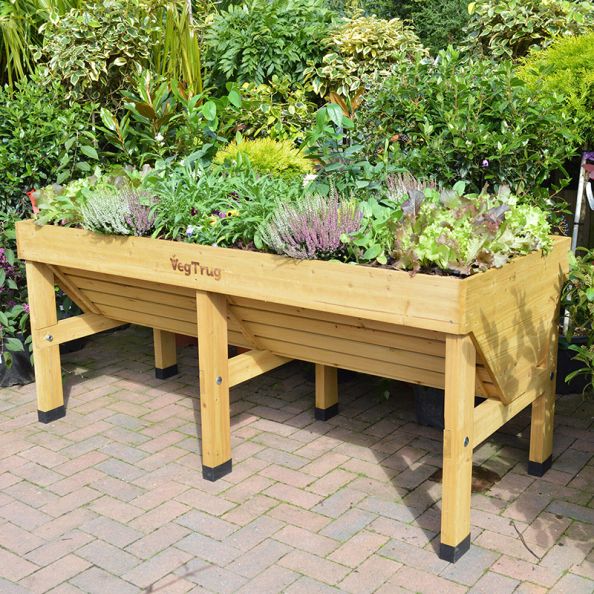 Veg Trug Planter Natural Wood Medium | Creative Activity
