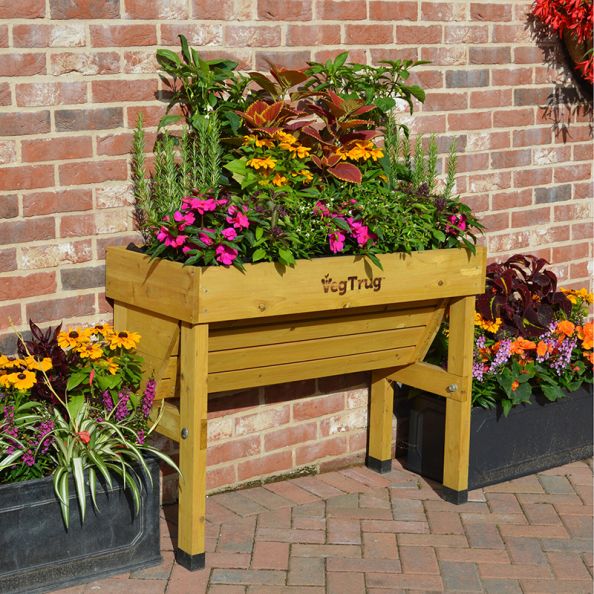 Wallhugger Planter Natural Wood Small | Creative Activity