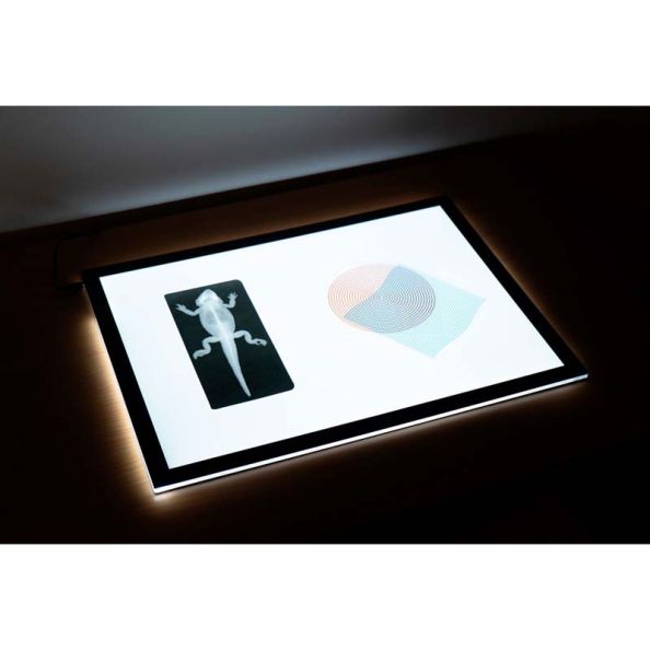 Ultra-Bright LED Light Panel | Creative Activity