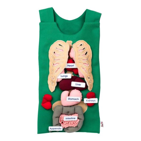 Human Anatomy Tunic | Creative Activity