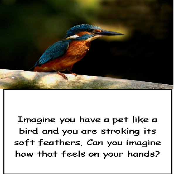 Mindfulness in a Tin Ages 5-11