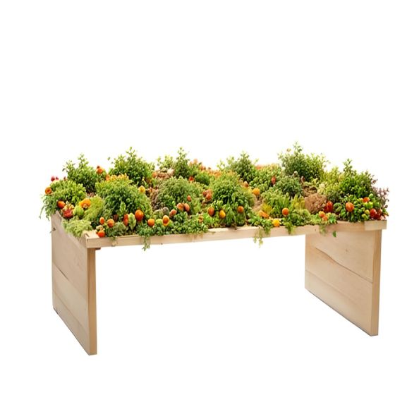 Accessible Gardening Planters