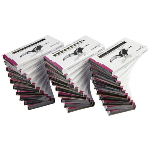 SC Compressed Charcoal Assorted pack of 30