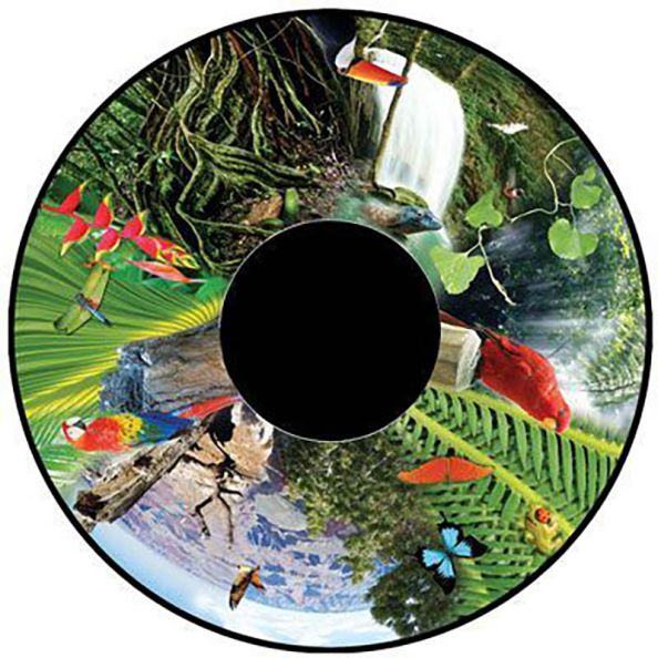 Effect Wheels Jungle | Creative Activity
