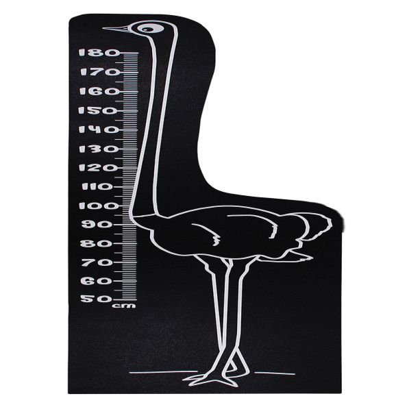 Oscar the Ostrich Height Panel | Creative Activity